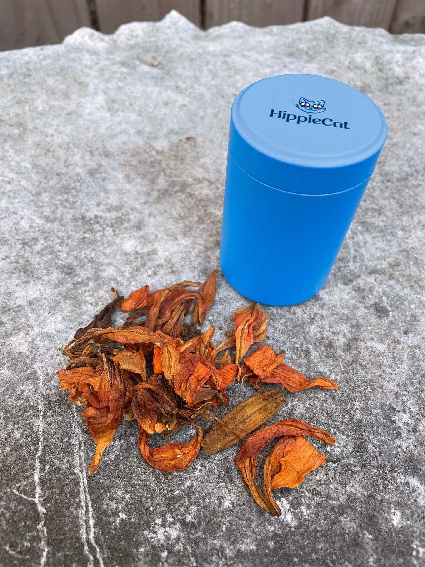 Stash Jar Case - Blue (10 pcs)