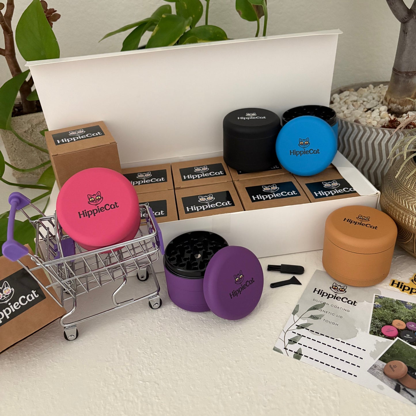 Case - Assorted Colors (10pcs)