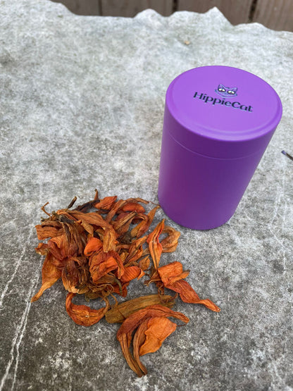 HippieCat Travel Canister - Purple
