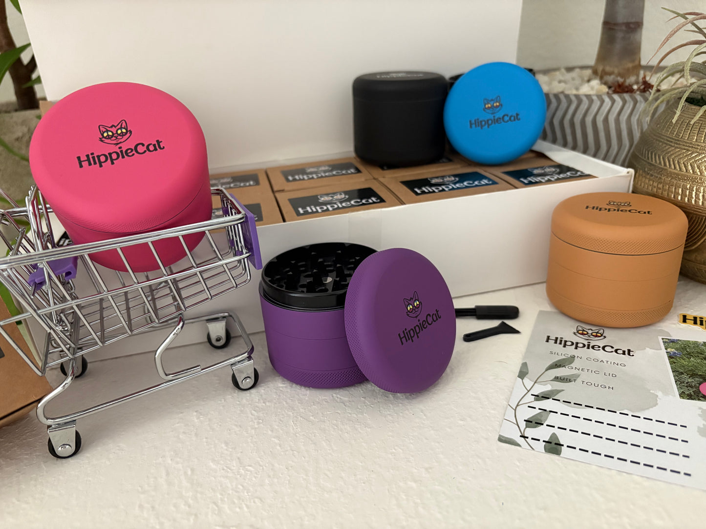 Case - Assorted Colors (10pcs)